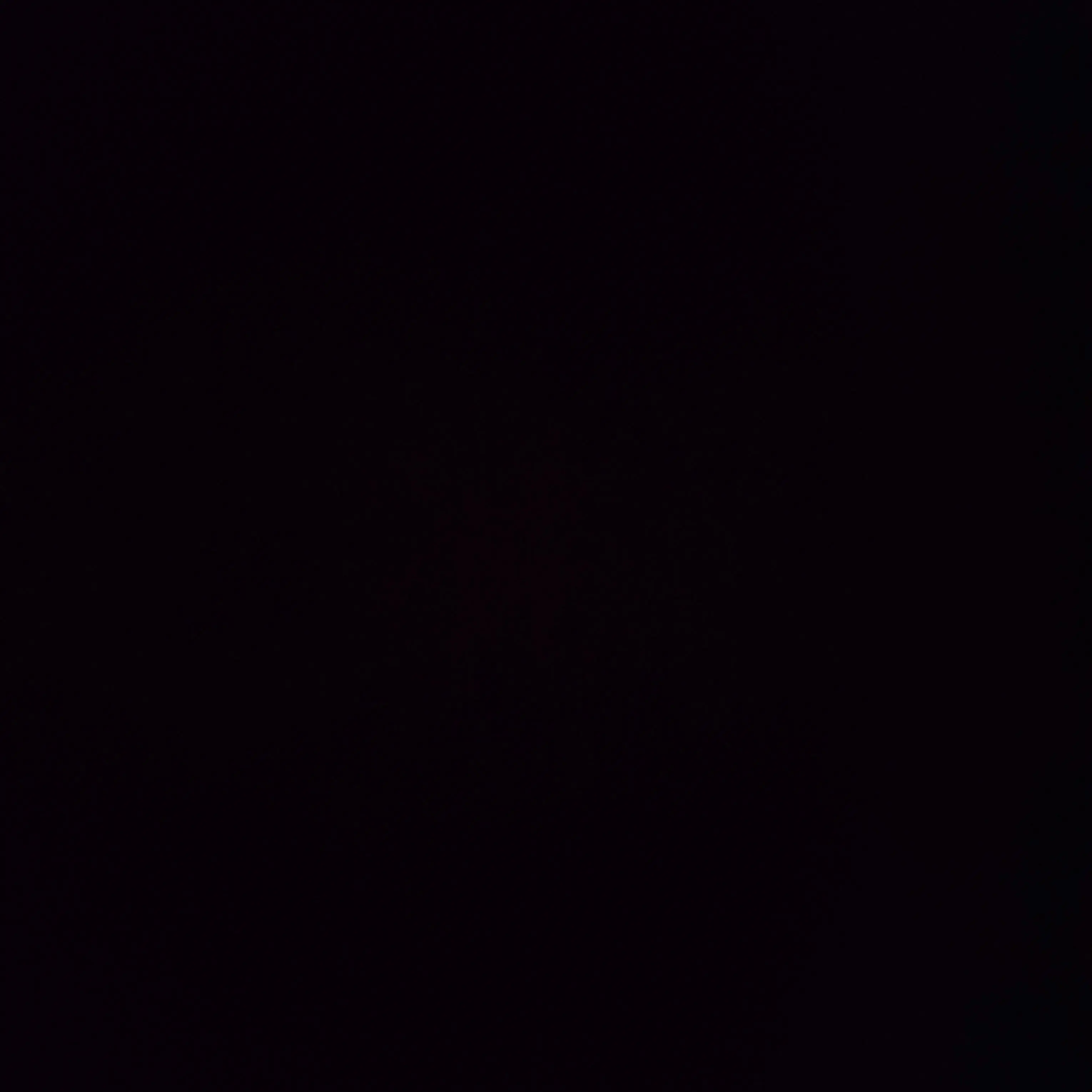 clang의 미1친가족