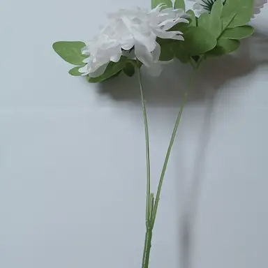 Profile image of 청운