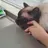 스카