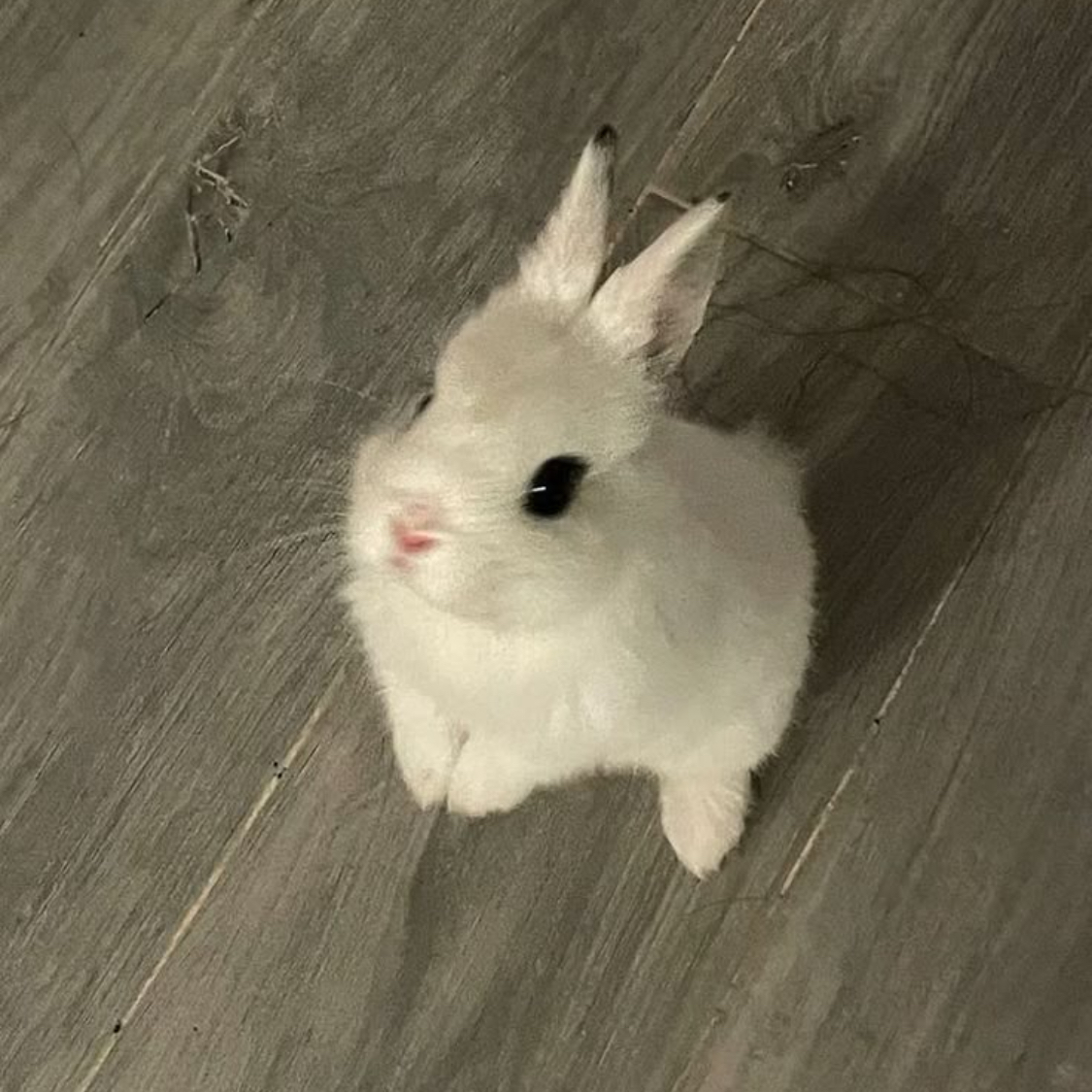 이민호 대표 이미지