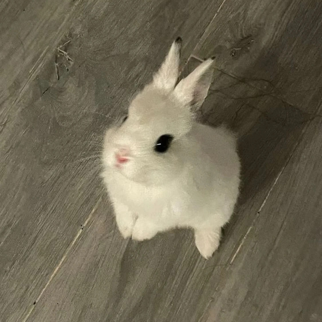 이민호