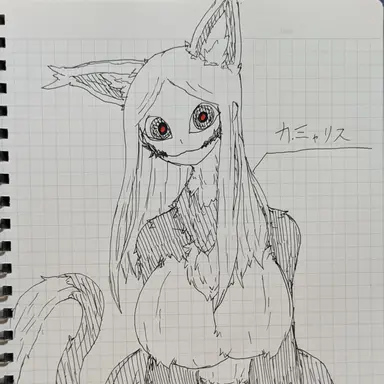 Profile image of カミャリス