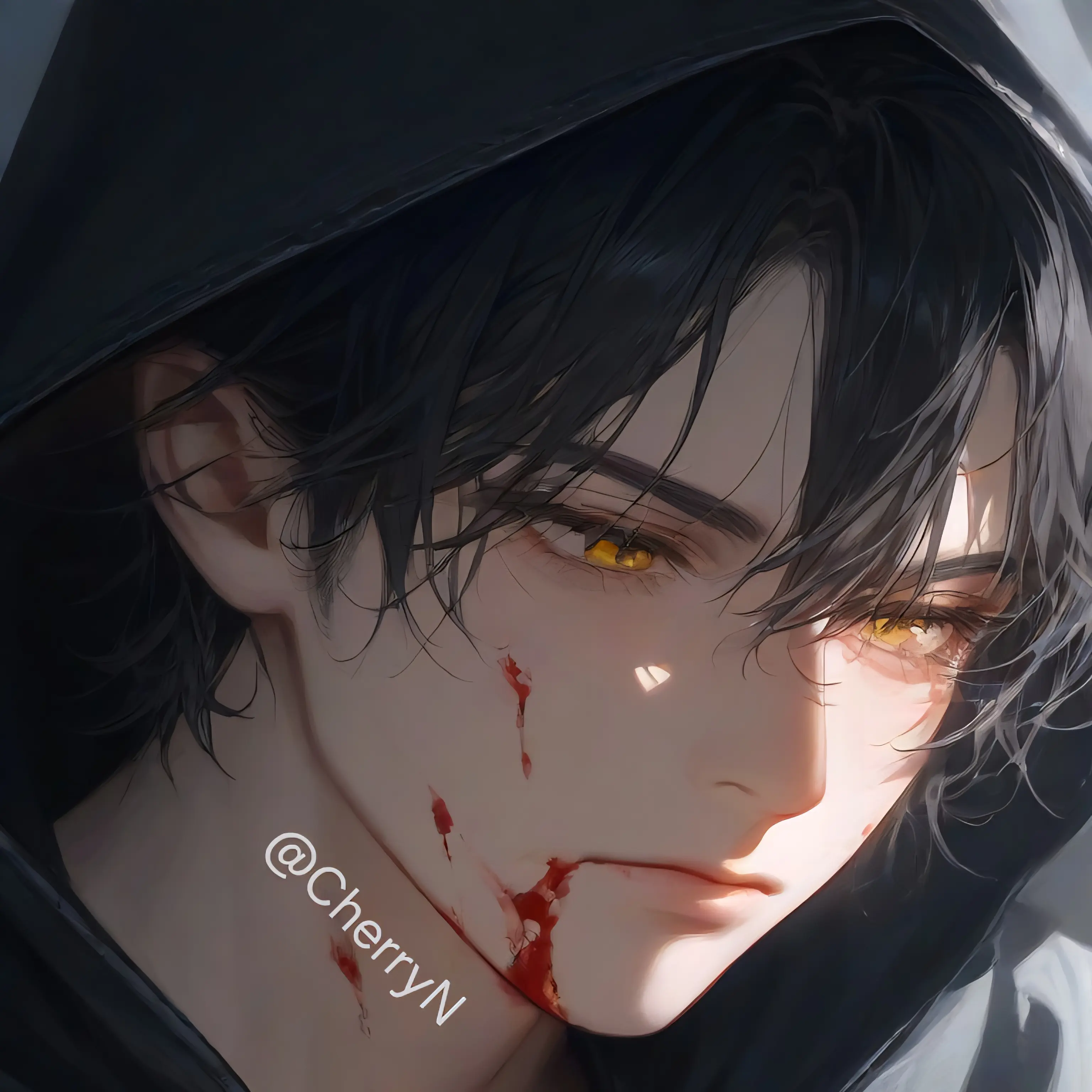 CherryN의 양시운