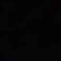 Dishhdishdish의 신정환
