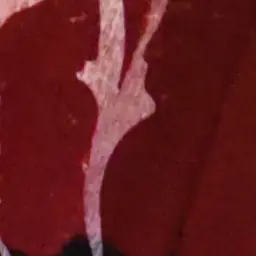 Profile image of 曽野舜太