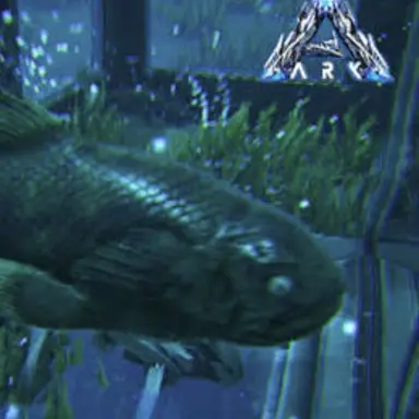 Profile image of 실러캔스