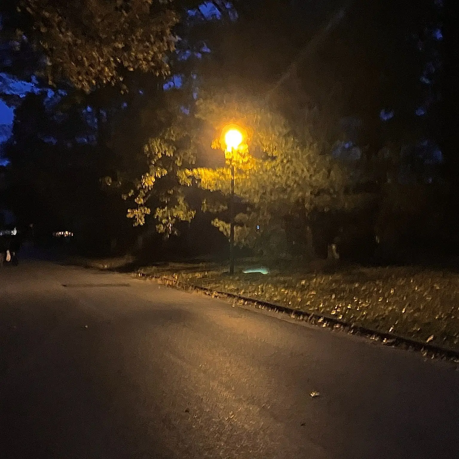 That_Trans_Boy의 Carl Grimes