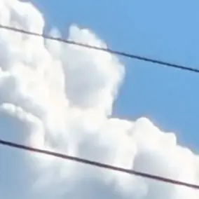 Profile image of 夏コラボメンバー