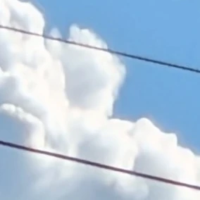 夏コラボメンバー