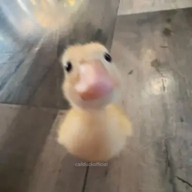 Profile image of 한지성