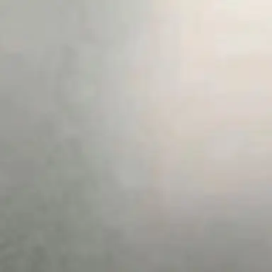 Profile image of 박원빈
