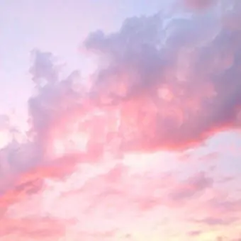 Profile image of 로비 마틴