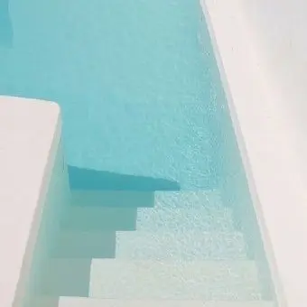 Profile image of 다이사 섀넌