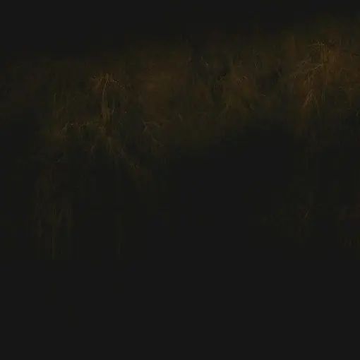 RashOlive1256의 세포