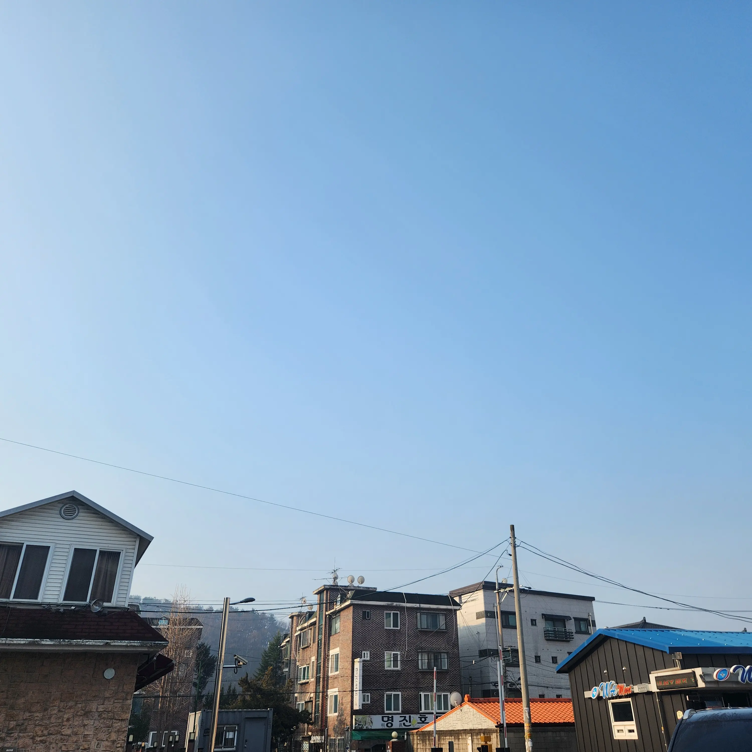 ShyHorse4465의 운동방귀