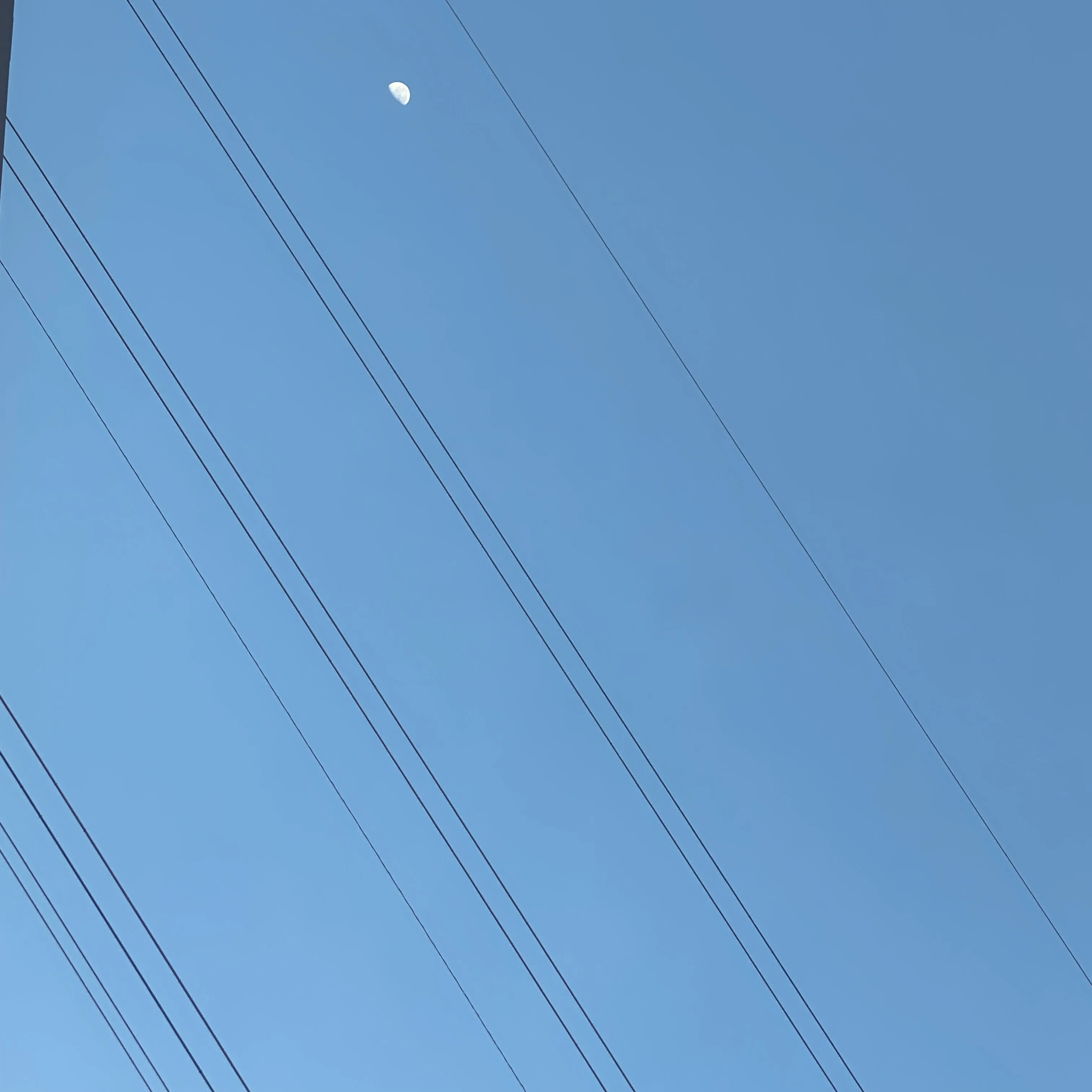 いじめっ子