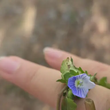 Profile image of 황수현