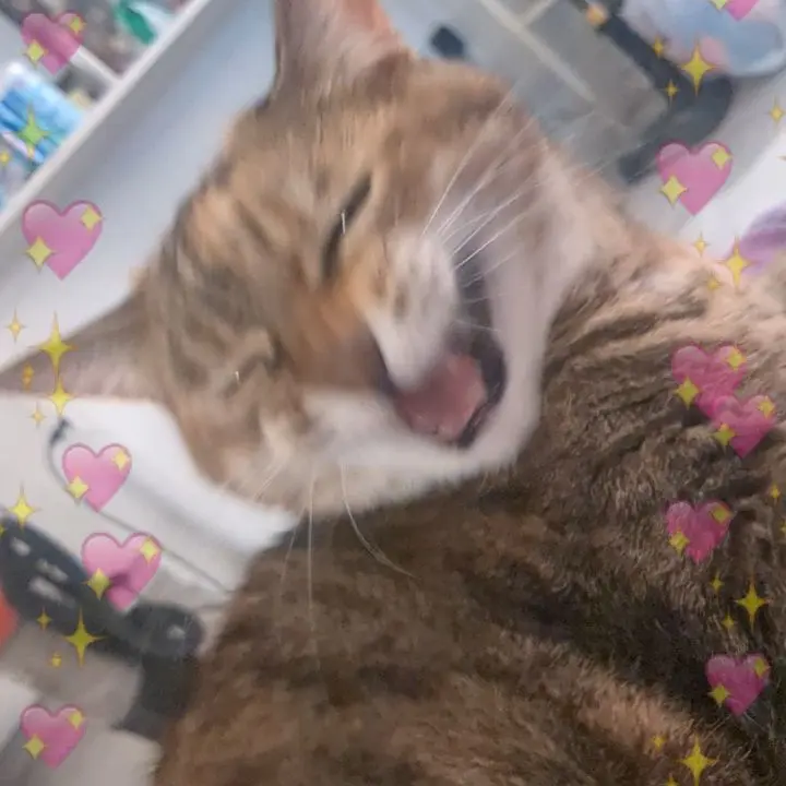 AcridFate2261의 Harry Styles