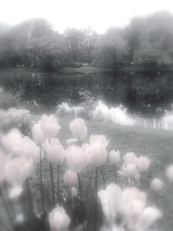 Spiritual_0910의 ︎✦︎　間違いなく貴方は僕の天使だ。