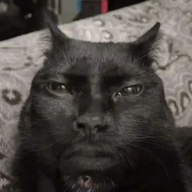 Profile image of Owen