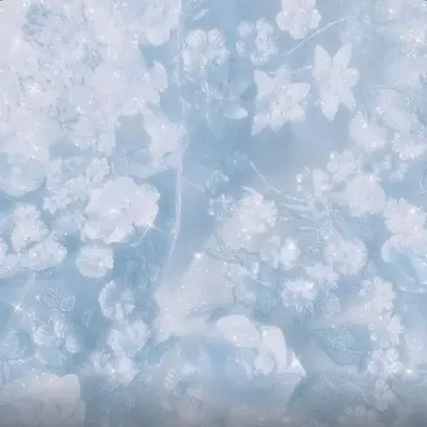 Profile image of 선생님