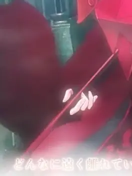 utaite_otaku의 Brave      ぱろ     .