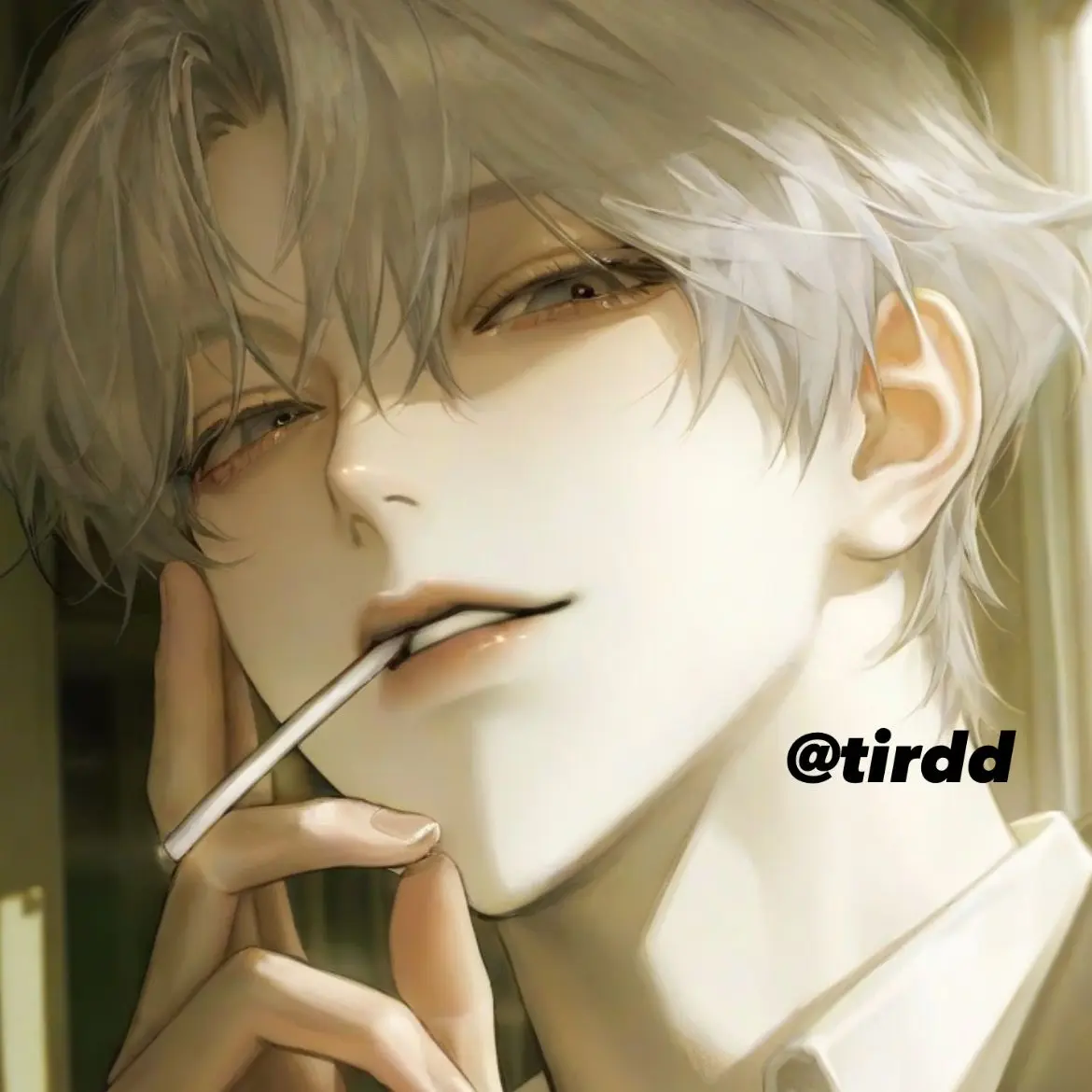 tirdd의 백연우