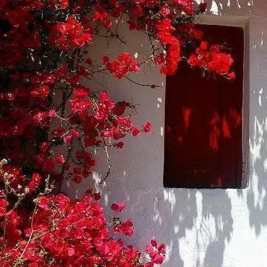 Profile image of 라더