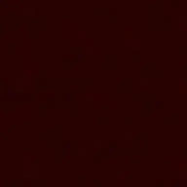 Profile image of ローレン・イロアス