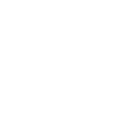 이형제