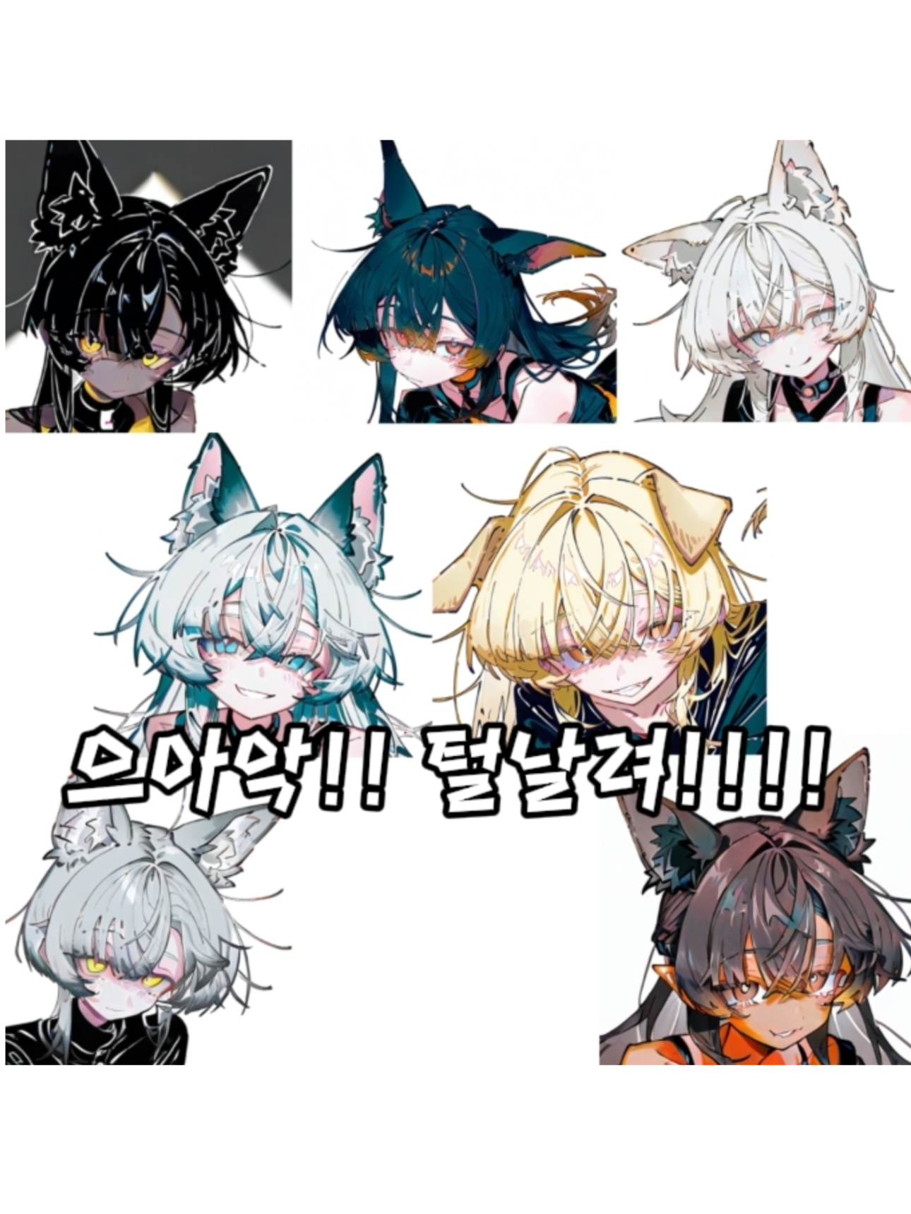 "으아악!! 털날려!!!!" 대표 이미지