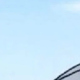 다은