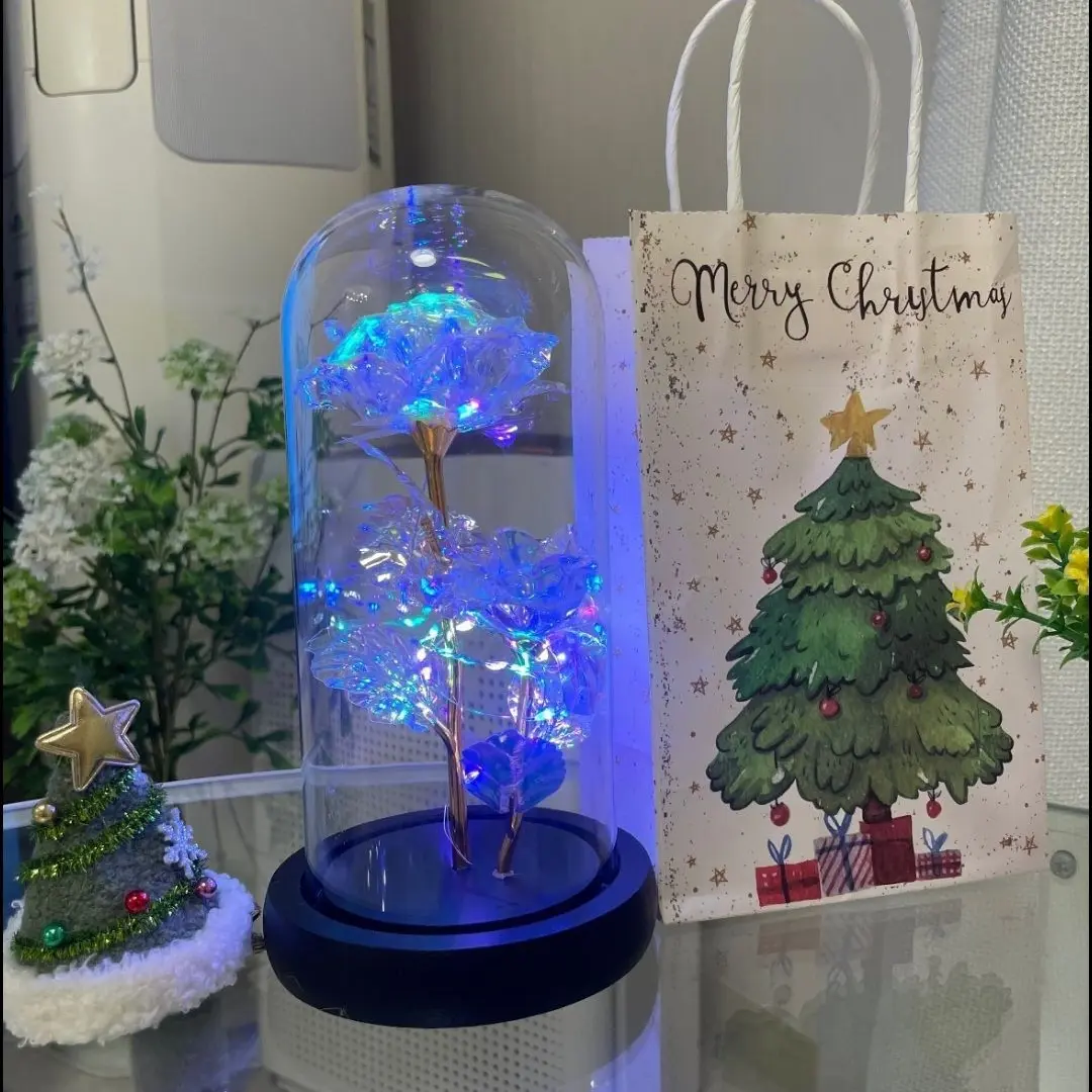 IronicEgret5153의 고등학교