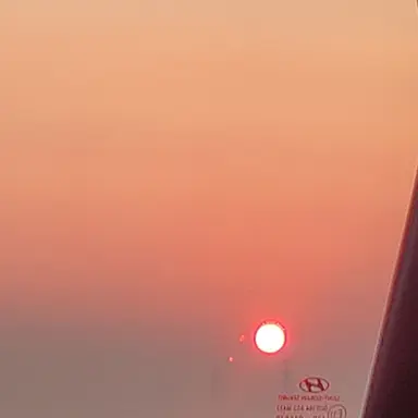 Profile image of 서라더