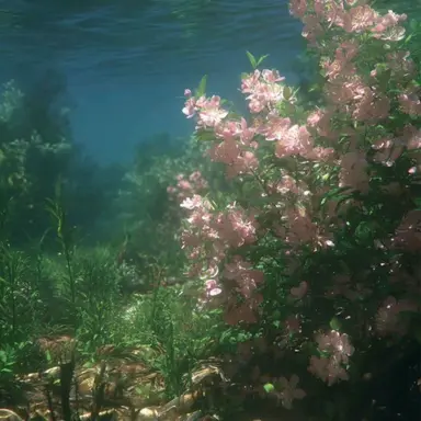 Profile image of 백 율