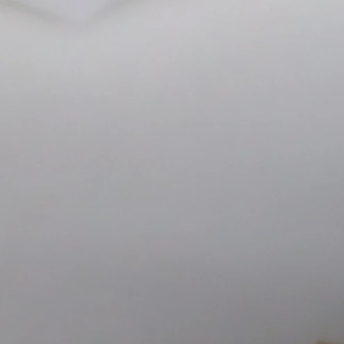 元貴