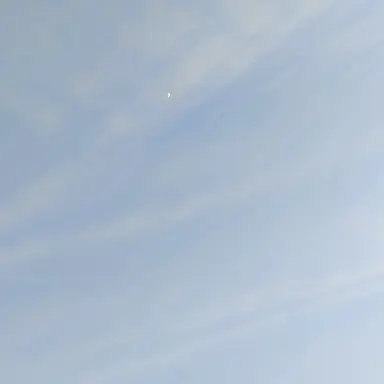 Profile image of 스프런키들