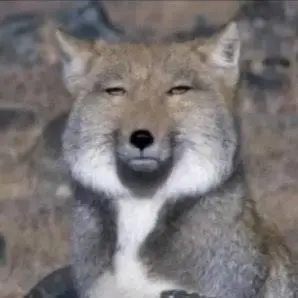 Profile image of 여우