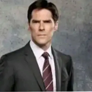 mikeywayrulez2002의 criminal minds