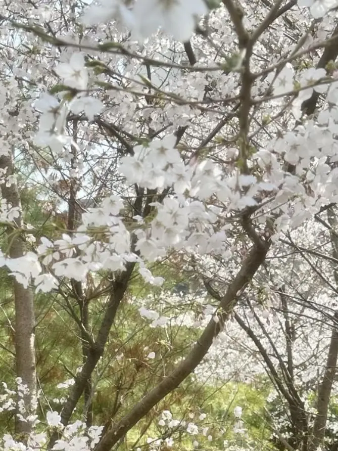 bbbbbabo의 난 너밖에 없어. 진심이야.