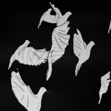 Profile image of 유지민