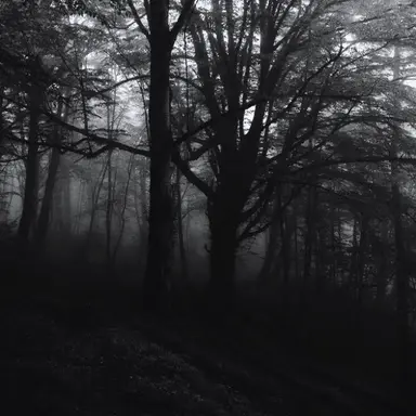 Profile image of 패트릭 벨