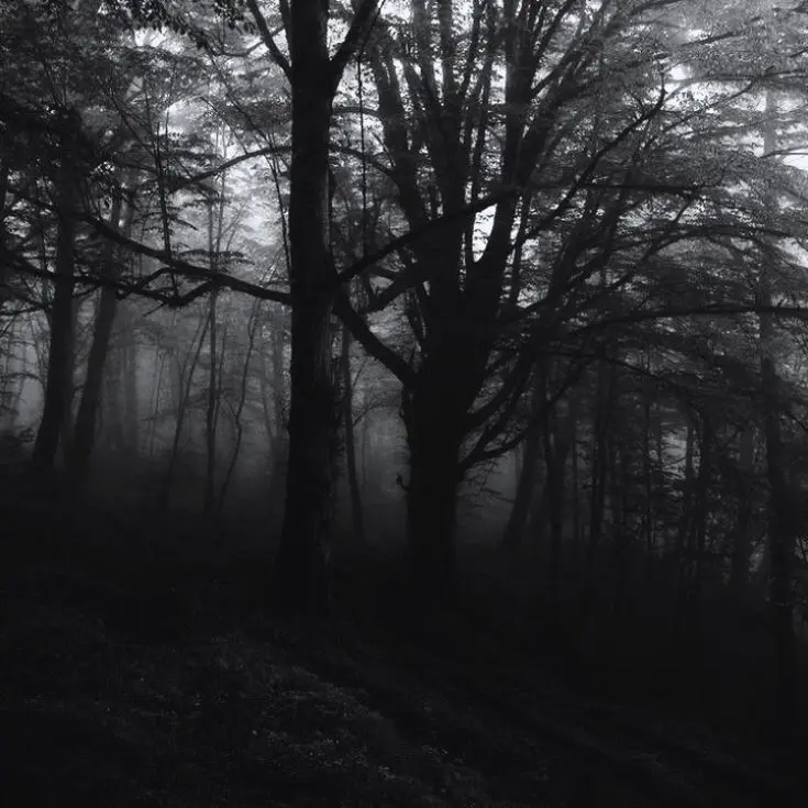 AMO_O의 패트릭 벨