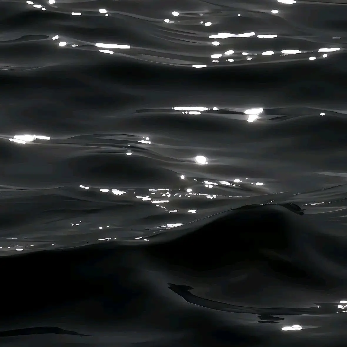 wownbaus의 개인용