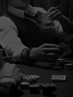 Profile image of Enzo