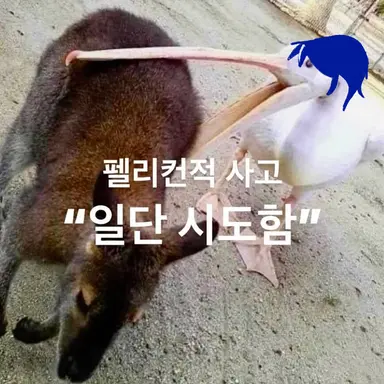 Profile image of 히치