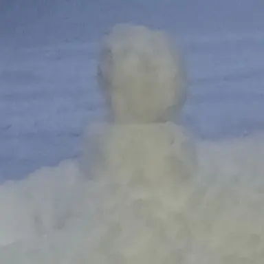 Profile image of Lienel