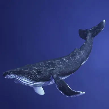 Profile image of ジラ