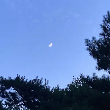 Profile image of 박잠뜰