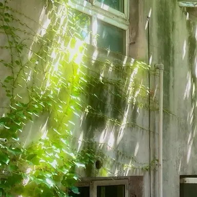 Profile image of 정공룡